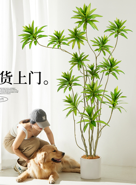 仿真绿植百合竹高端轻奢大型仿生假绿植禄氛围树室内客厅装饰摆件