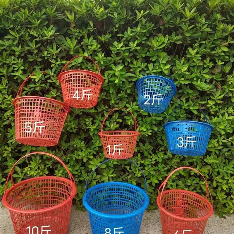 1-10斤圆草莓篮采摘篮水果篮桑葚篮樱桃篮杨梅篮采摘包邮发快递