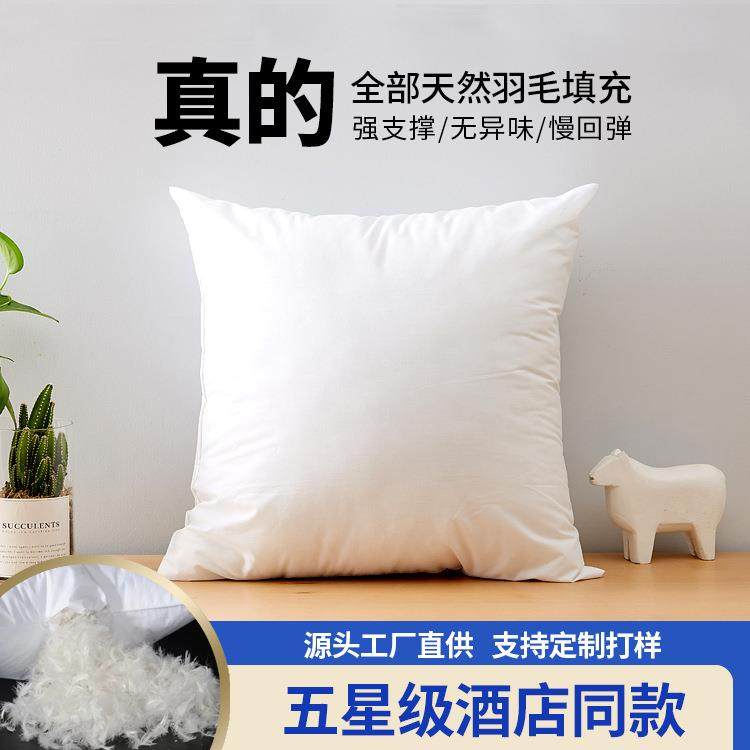抱枕芯床头腰靠纯棉羽毛抱枕内胆沙发靠枕垫定制腰垫靠背cushion