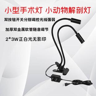 小型手术灯医用检查灯小动物实验灯大小鼠青蛙解剖台灯射灯夹式
