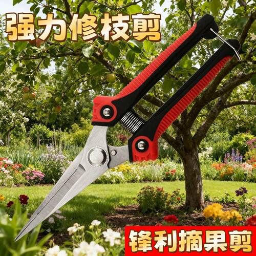 强力果园树枝摘果剪不锈钢修枝剪刀花园绿化修花剪直头园艺园林剪