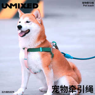 宠物牵引绳狗牵引不勒手防水易清洗遛狗绳外出柯基法斗柴犬胸背带
