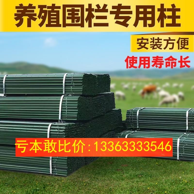 钢丝网围栏网立柱铁柱护栏网铁丝网养殖网燕尾柱养鸡网柱子立杆
