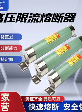 XRNM-12KV/100A-50KA高压高分断能力熔断器WFNHO-7.2/100A熔断器