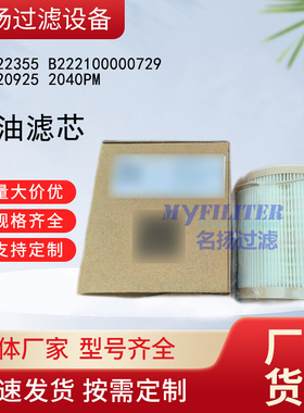 供应 14622355 B222100000729 11220925 2040PM燃油滤芯