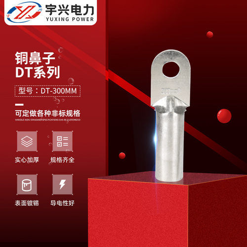 铜线鼻子接线端子 DT-300mm接线端子铜接头 电线电缆铜线耳铜鼻子