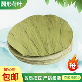 正宗微山湖新鲜荷叶糯米鸡荷叶野生圆形荷叶50张餐饮食品专用荷叶