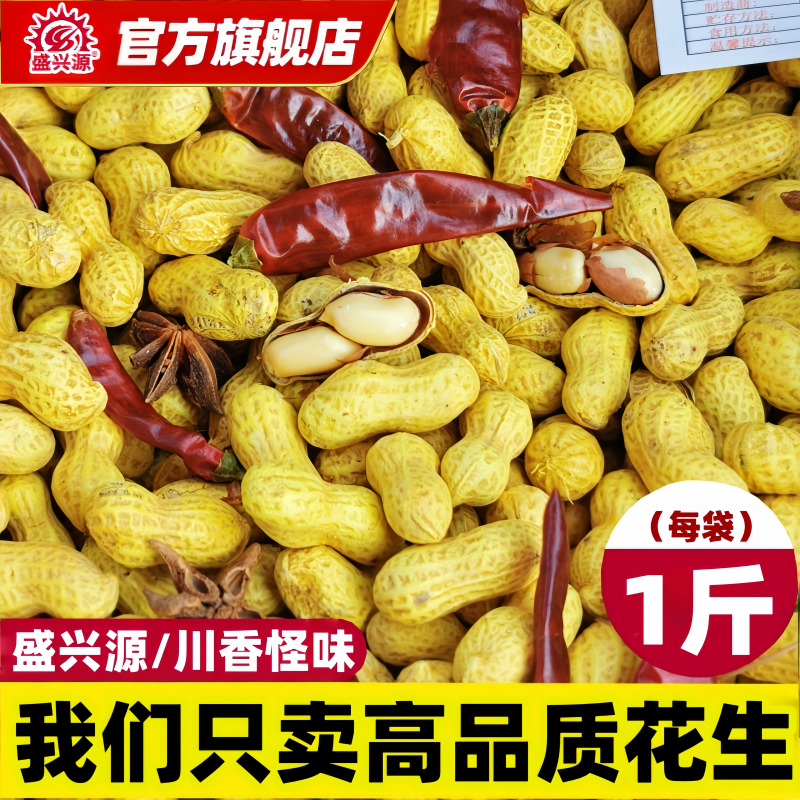 盛兴源香辣怪味花生500g带壳麻辣花生办公室休闲花生零食怪味花生