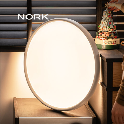 诺克简影现代简约卧室客厅吸顶灯