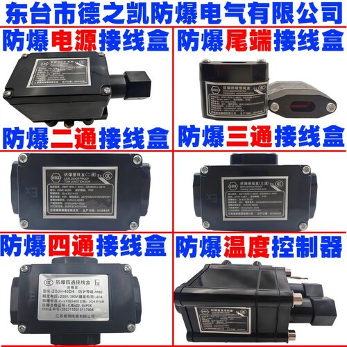 伴热带电源防爆接线盒二通三通等
