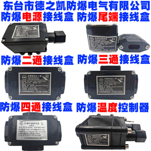 电伴热带防爆电源接线盒尾端中间二通三通接线盒防爆温度控制器