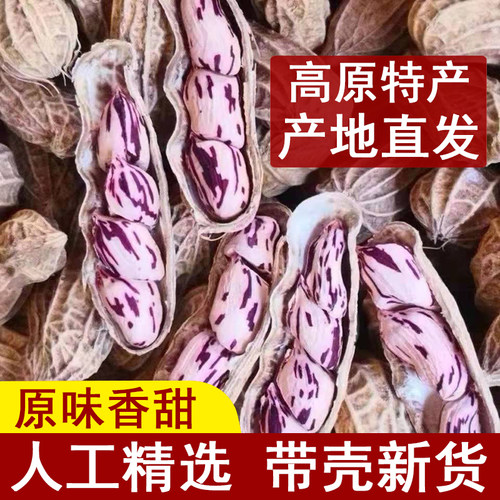 2025年水煮咸干白晒七彩花生带壳云南特产五彩花生金刚坚果零食