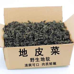地皮菜500g甘肃特产干货非免洗地软野生地木耳雷公菌天然地衣新鲜