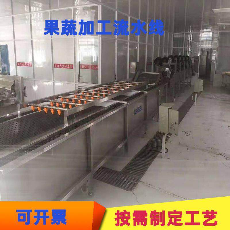 苦洗机 大型全套自动清净菜加工FGA成设备 蒲公英菜 荠菜清洗机