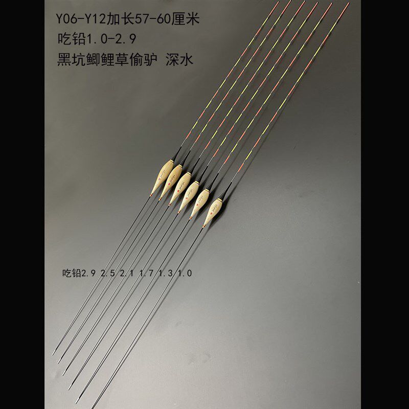 芦苇电子漂高灵敏水无影夜光漂加长黑坑偷驴带壳夜钓鲫鱼鲤鱼大物