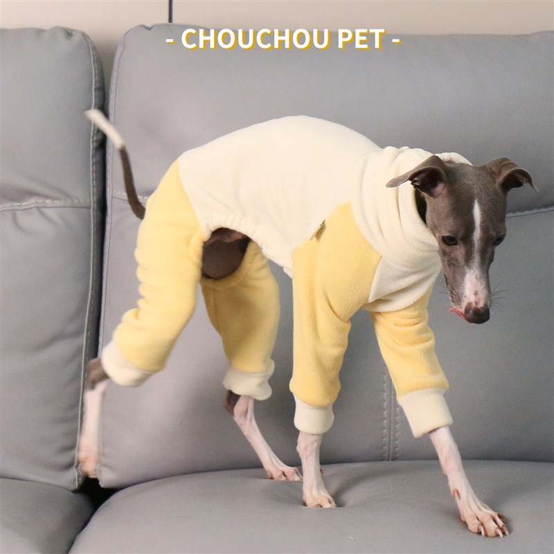 意大利小灵缇高领四脚衣柔软弹力保暖惠比特拼色保暖宠物服装