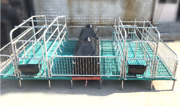 加厚母猪产床双体产床2.5全复合板产床产保一体单体产床定位栏
