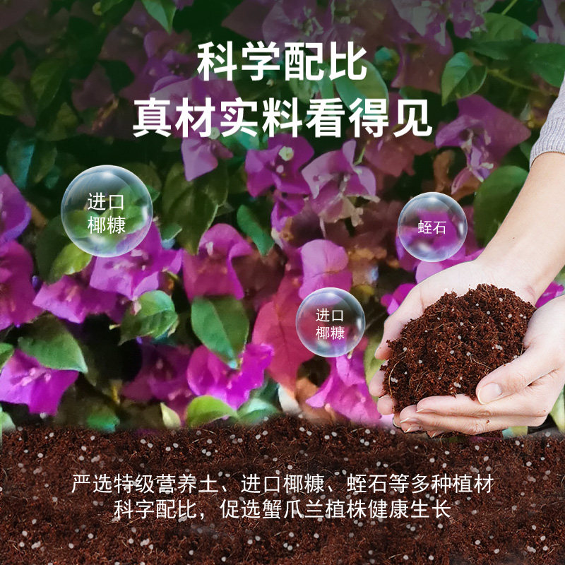 蟹爪兰专用营养土四季家庭盆栽养花通用型进口有机透气种植泥炭土图片