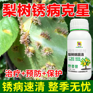 梨树病菌清锈病专用微生物菌剂锈病白粉黑星轮纹褐腐杀菌剂正品肥