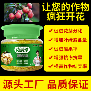 花满球爆满花催花素促进生殖生长花芽分化保花保果荔枝龙眼通用