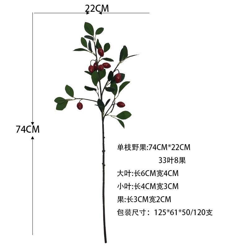 真浆果野CMM果子金客弹年子新发财果红果幸运果石仿榴厅婚庆摆件