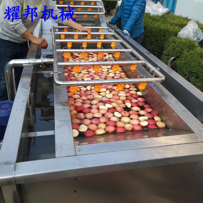 百香果清洗机 厂家可清做 气泡YB-7000式山定清洗机楂器 脐橙洗设