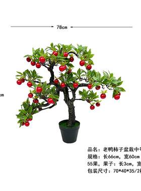仿真植子物老柿盆客厅装饰桌面绿植假花迷鸭你富贵景果柿子摆件
