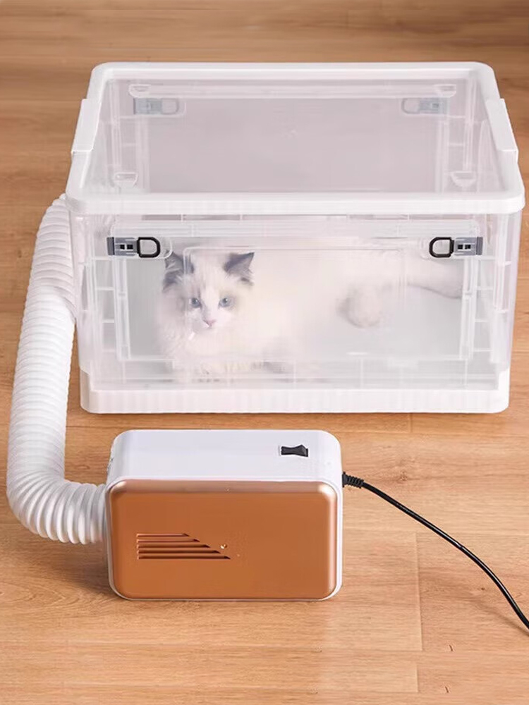 宠物猫咪烘干箱家用小型狗狗洗澡吹水机缅因兔子吹干吹毛简易折叠