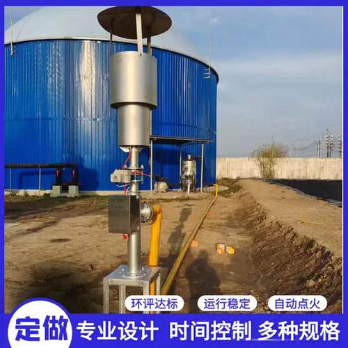 沼气火炬养殖场沼气燃烧火炬内燃封闭式外燃不锈钢地面火炬垃圾场