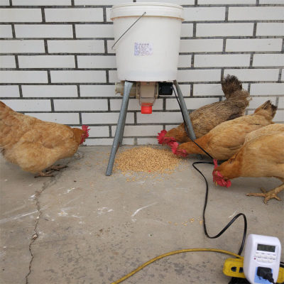 德国鸡鸭鹅鸽子狗猫全自动喂食器WiFi定时定量远程投喂下料器养鸡