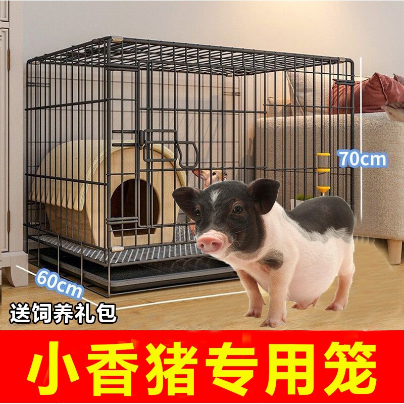 德国小香猪笼子大号宠物猪专用别墅窝屋装小猪的笼子家用房子生活