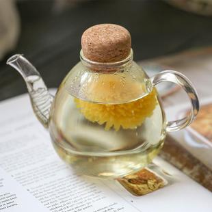 茶具一人用功夫茶壶 高硼硅玻璃壶泡茶壶围炉煮茶壶电陶炉家用日式