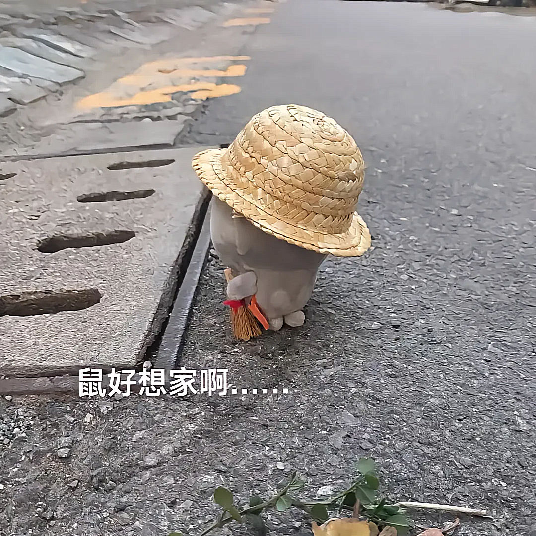 迷你草帽小红书同款美叽大鼠自嘲熊草帽公仔玩偶手工diy草帽娃衣