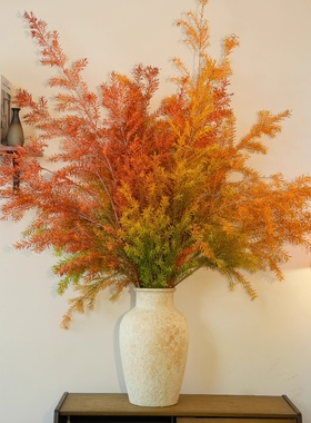 【空运】优选A级千层金鲜花云南基地直发黄金香柳可干花家用插花