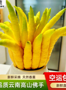 空运包邮佛手柑新果高山香橼果