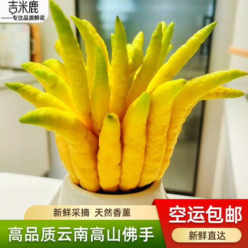 空运包邮佛手柑新果高山香橼果