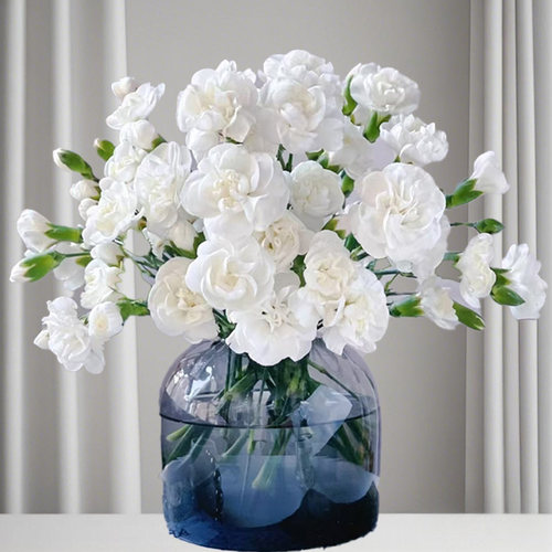 生日多头茉莉微粉康乃馨10枝