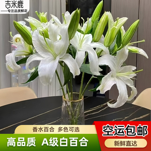 白百合香水百合花鲜花云南基地直发香水百合鲜花家用插花鲜切花束