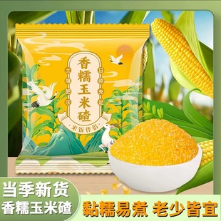 正宗东北香糯玉米碴米饭伴侣当季新米小碴子玉米粘碴子可煮饭煮粥