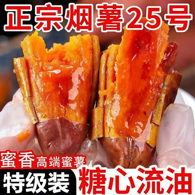 【软糯香甜】山东烟薯25号烤红薯