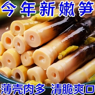 解馋手剥笋开袋即食泡椒今年脆笋手扒撕竹笋酸笋尖山椒手拨笋零食