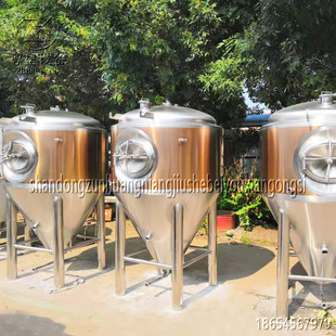 啤酒發(fā)酵罐 600L自釀啤酒機(jī) 小型發(fā)酵罐 精釀啤酒設(shè)備