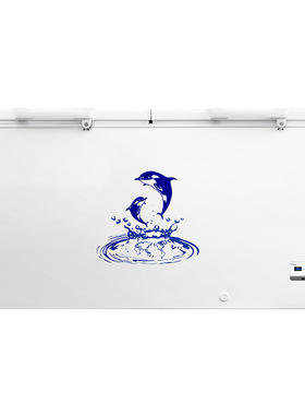 澳柯玛-36度商用低温冰柜 BC/BD-535 430HDNE