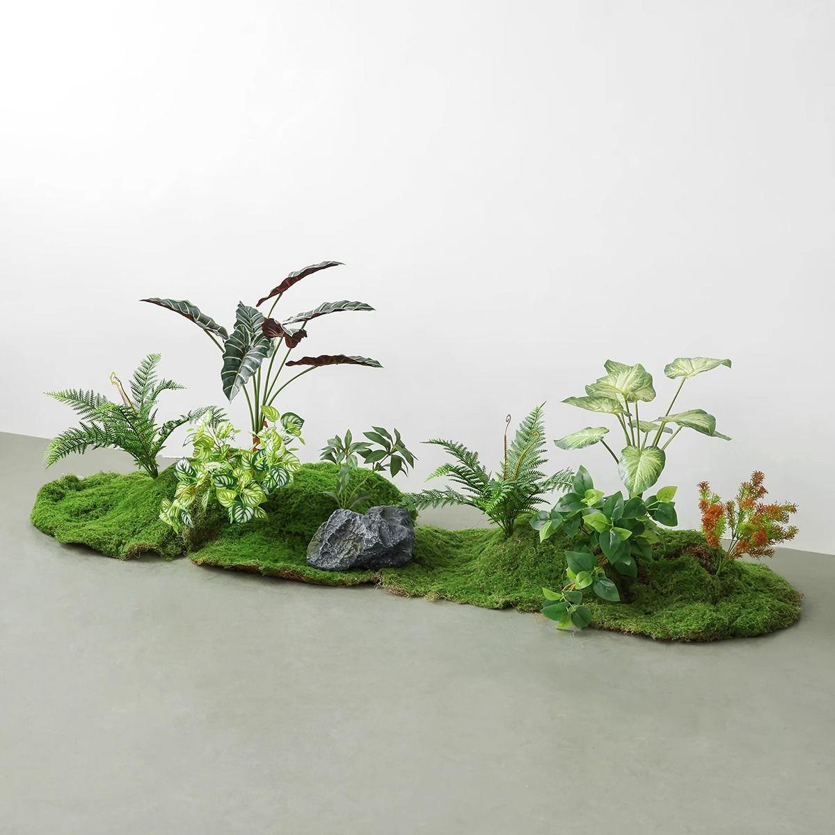 植物苔藓造景装饰组合仿D