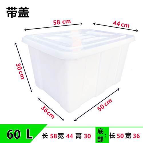 牛筋水箱水桶浅盆塑料养