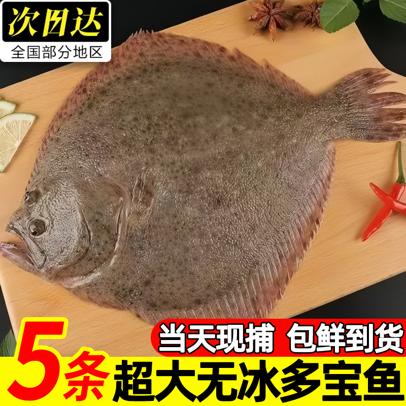 青岛鲜活速冻大个多宝鱼