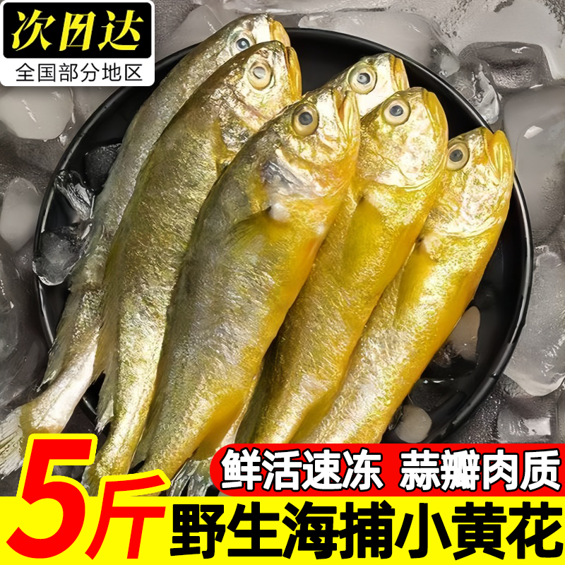 浙江台州小黄花鱼冷冻5斤整箱