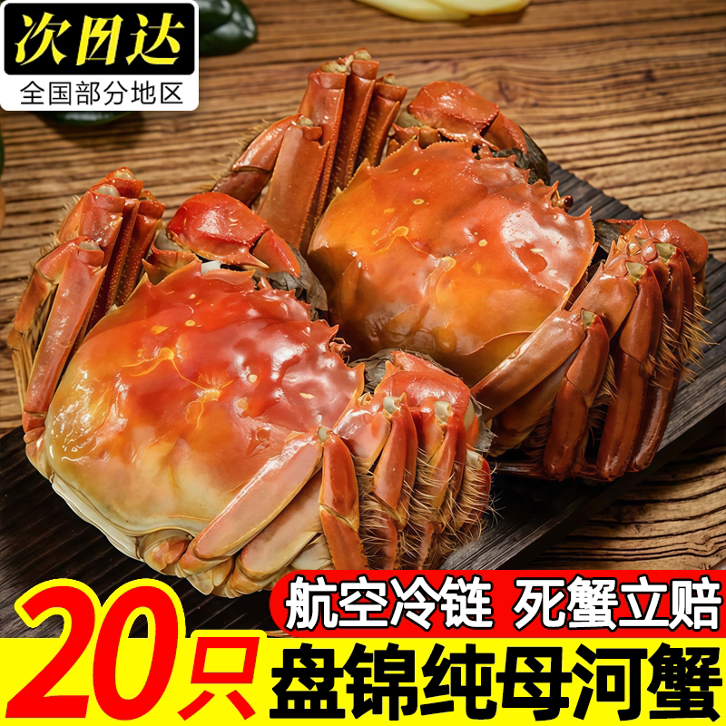 盘锦散养鲜活河蟹产地直发顺丰