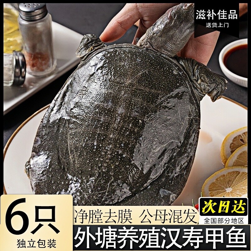 汉寿甲鱼新鲜甲鱼肉净膛去膜生鲜老鳖肉新鲜速冻黑甲鱼批发价顺丰