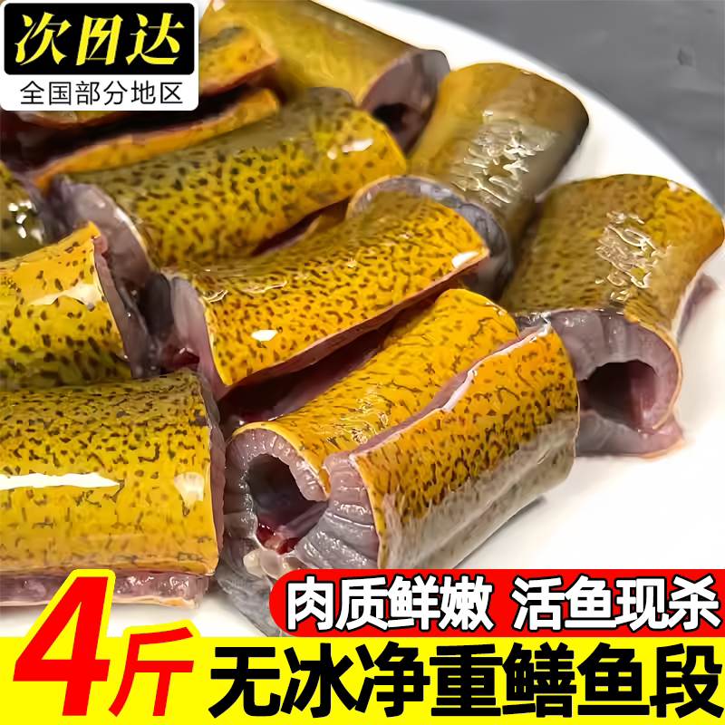 新鲜现杀去头去尾去内脏鳝鱼段